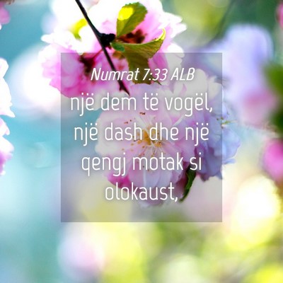 Picture 04 - Numrat 7:33 ALB - një dem të vogël, një dash dhe një qengj - Bible Verse Picture