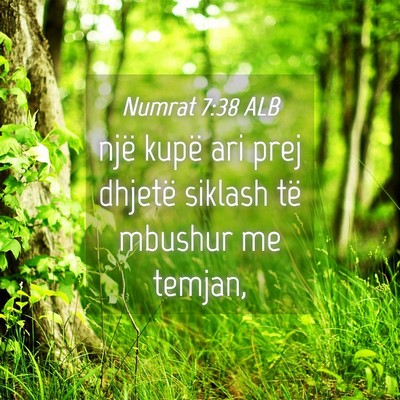 Picture 04 - Numrat 7:38 ALB - një kupë ari prej dhjetë siklash të mbushur - Bible Verse Picture