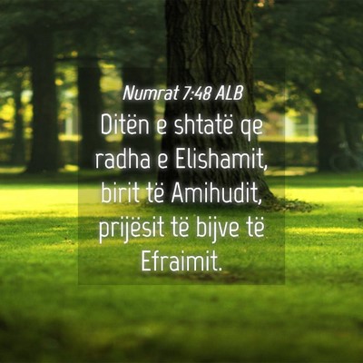 Picture 04 - Numrat 7:48 ALB - Ditën e shtatë qe radha e Elishamit, birit të - Bible Verse Picture
