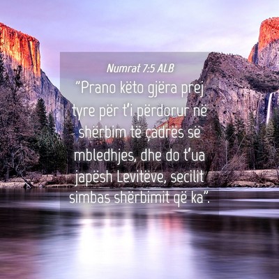 Picture 04 - Numrat 7:5 ALB - 