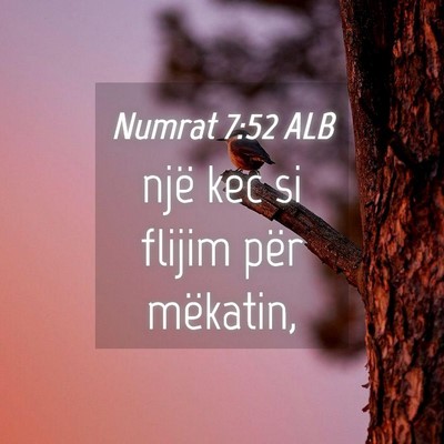 Picture 04 - Numrat 7:52 ALB - një kec si flijim për - Bible Verse Picture