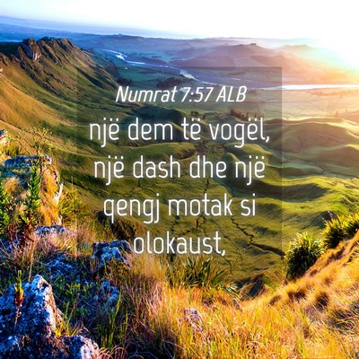 Picture 04 - Numrat 7:57 ALB - një dem të vogël, një dash dhe një qengj - Bible Verse Picture