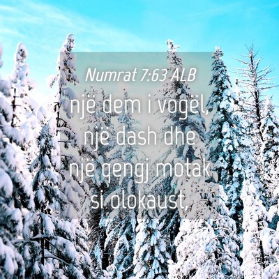 Picture 04 - Numrat 7:63 ALB - një dem i vogël, një dash dhe një qengj motak - Bible Verse Picture