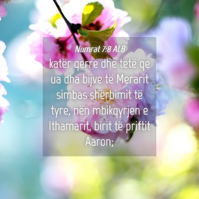 Picture 04 - Numrat 7:8 ALB - katër qerre dhe tetë qe ua dha bijve të - Bible Verse Picture