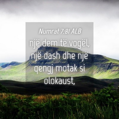 Picture 04 - Numrat 7:81 ALB - një dem të vogël, një dash dhe një qengj - Bible Verse Picture