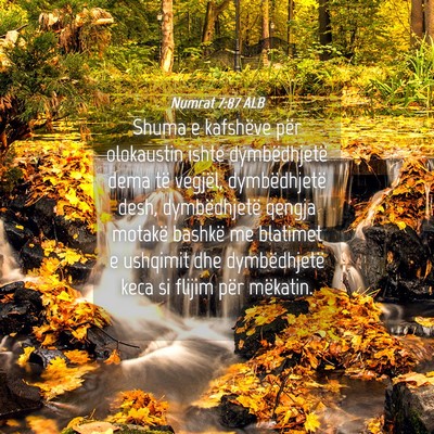 Picture 04 - Numrat 7:87 ALB - Shuma e kafshëve për olokaustin ishte - Bible Verse Picture