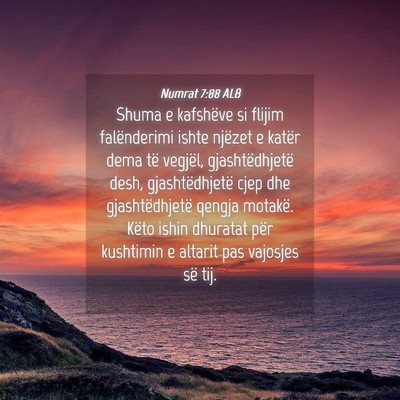 Picture 04 - Numrat 7:88 ALB - Shuma e kafshëve si flijim falënderimi ishte - Bible Verse Picture