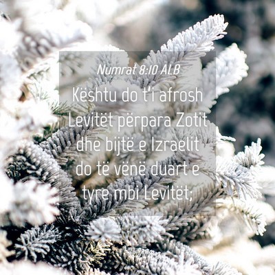 Picture 04 - Numrat 8:10 ALB - Kështu do t’i afrosh Levitët përpara Zotit - Bible Verse Picture