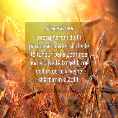 Picture 04 - Numrat 8:11 ALB - pastaj Aaroni do t’i paraqesë Levitët si - Bible Verse Picture