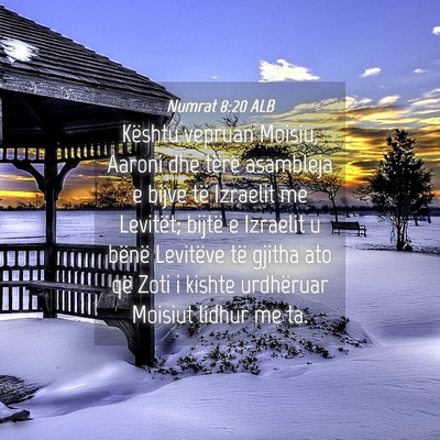 Picture 04 - Numrat 8:20 ALB - Kështu vepruan Moisiu, Aaroni dhe tërë - Bible Verse Picture