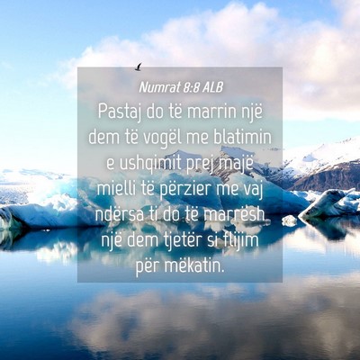 Picture 04 - Numrat 8:8 ALB - Pastaj do të marrin një dem të vogël me - Bible Verse Picture