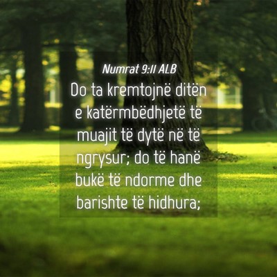 Picture 04 - Numrat 9:11 ALB - Do ta kremtojnë ditën e katërmbëdhjetë të - Bible Verse Picture
