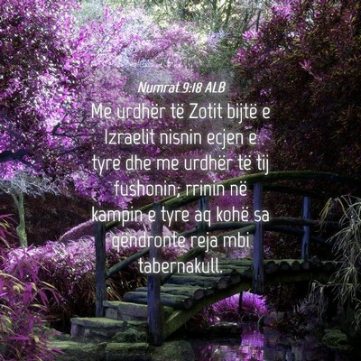 Picture 04 - Numrat 9:18 ALB - Me urdhër të Zotit bijtë e Izraelit nisnin - Bible Verse Picture