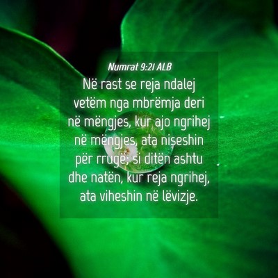Picture 04 - Numrat 9:21 ALB - Në rast se reja ndalej vetëm nga mbrëmja deri - Bible Verse Picture