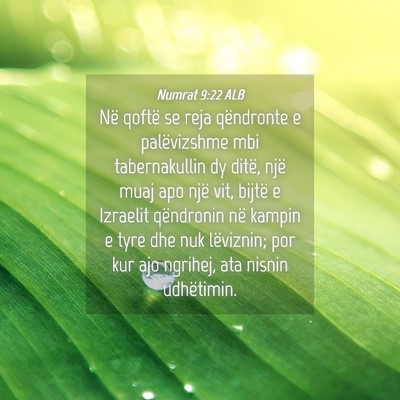 Picture 04 - Numrat 9:22 ALB - Në qoftë se reja qëndronte e palëvizshme mbi - Bible Verse Picture