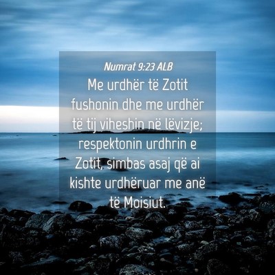 Picture 04 - Numrat 9:23 ALB - Me urdhër të Zotit fushonin dhe me urdhër të - Bible Verse Picture