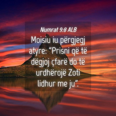Picture 04 - Numrat 9:8 ALB - Moisiu iu përgjegj atyre: 