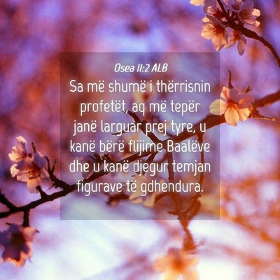 Picture 04 - Osea 11:2 ALB - Sa më shumë i thërrisnin profetët, aq më - Bible Verse Picture