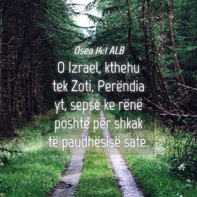 Picture 04 - Osea 14:1 ALB - O Izrael, kthehu tek Zoti, Perëndia yt, sepse ke - Bible Verse Picture