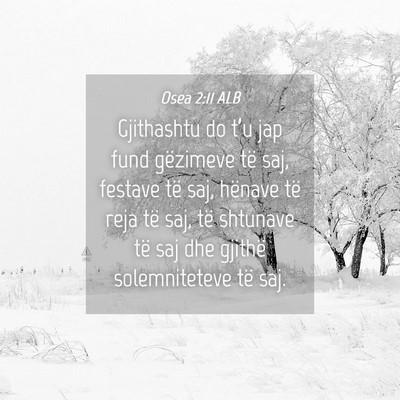Picture 04 - Osea 2:11 ALB - Gjithashtu do t’u jap fund gëzimeve të saj, - Bible Verse Picture