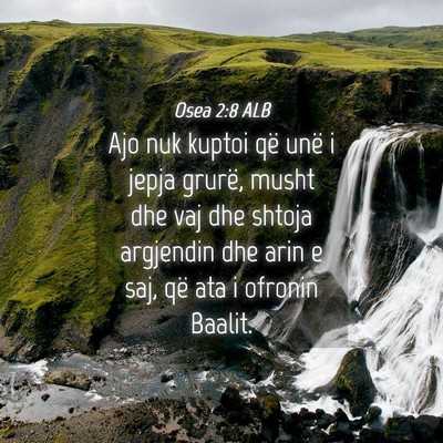 Picture 04 - Osea 2:8 ALB - Ajo nuk kuptoi që unë i jepja grurë, musht dhe - Bible Verse Picture