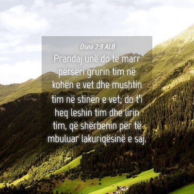 Picture 04 - Osea 2:9 ALB - Prandaj unë do të marr përsëri grurin tim në - Bible Verse Picture