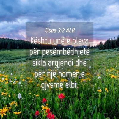 Picture 04 - Osea 3:2 ALB - Kështu unë e bleva për pesëmbëdhjetë sikla - Bible Verse Picture