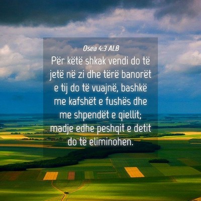 Picture 04 - Osea 4:3 ALB - Për këtë shkak vendi do të jetë në zi dhe - Bible Verse Picture