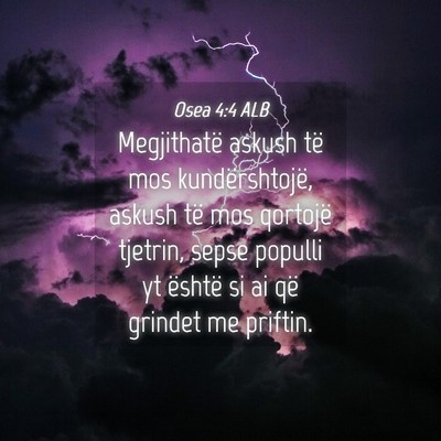 Picture 04 - Osea 4:4 ALB - Megjithatë askush të mos kundërshtojë, askush - Bible Verse Picture