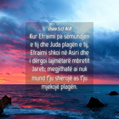 Picture 04 - Osea 5:13 ALB - Kur Efraimi pa sëmundjen e tij dhe Juda plagën - Bible Verse Picture