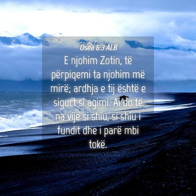 Picture 04 - Osea 6:3 ALB - E njohim Zotin, të përpiqemi ta njohim më - Bible Verse Picture