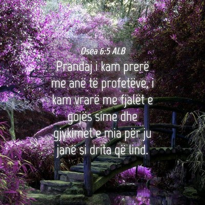 Picture 04 - Osea 6:5 ALB - Prandaj i kam prerë me anë të profetëve, i - Bible Verse Picture