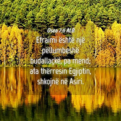 Picture 04 - Osea 7:11 ALB - Efraimi është një pëllumbeshë budallaçkë, - Bible Verse Picture