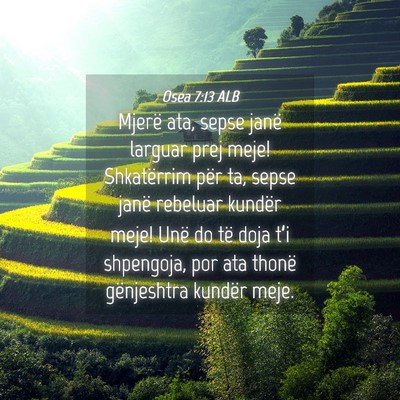 Picture 04 - Osea 7:13 ALB - Mjerë ata, sepse janë larguar prej meje! - Bible Verse Picture
