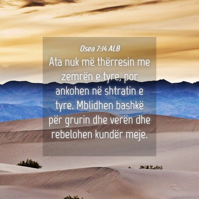 Picture 04 - Osea 7:14 ALB - Ata nuk më thërresin me zemrën e tyre, por - Bible Verse Picture