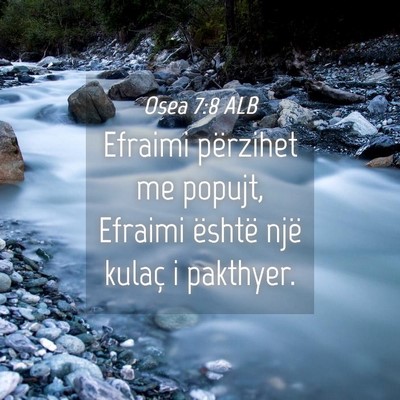Picture 04 - Osea 7:8 ALB - Efraimi përzihet me popujt, Efraimi është një - Bible Verse Picture