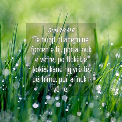 Picture 04 - Osea 7:9 ALB - Të huajt gllabërojnë forcën e tij, por ai nuk - Bible Verse Picture