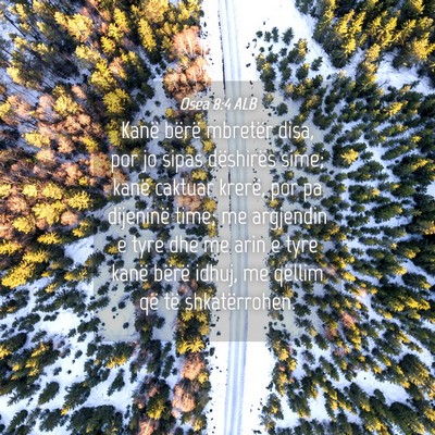 Picture 04 - Osea 8:4 ALB - Kanë bërë mbretër disa, por jo sipas - Bible Verse Picture