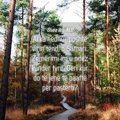 Picture 04 - Osea 8:5 ALB - Ai ka hedhur poshtë viçin tënd, o Samari. - Bible Verse Picture