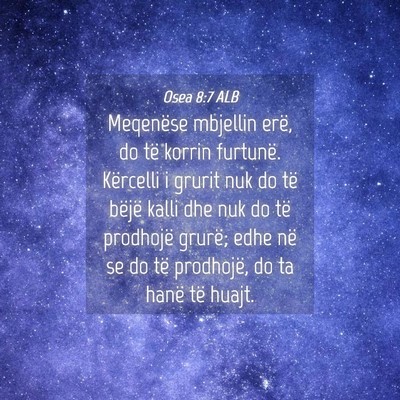 Picture 04 - Osea 8:7 ALB - Meqenëse mbjellin erë, do të korrin furtunë. - Bible Verse Picture