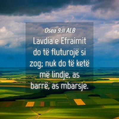 Picture 04 - Osea 9:11 ALB - Lavdia e Efraimit do të fluturojë si zog; nuk - Bible Verse Picture