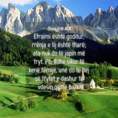 Picture 04 - Osea 9:16 ALB - Efraimi është goditur, rrënja e tij është - Bible Verse Picture