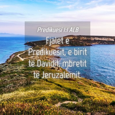 Picture 04 - Predikuesi 1:1 ALB - Fjalët e Predikuesit, e birit të Davidit, - Bible Verse Picture