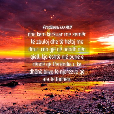Picture 04 - Predikuesi 1:13 ALB - dhe kam kërkuar me zemër të zbuloj dhe të - Bible Verse Picture