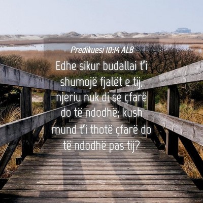Picture 04 - Predikuesi 10:14 ALB - Edhe sikur budallai t’i shumojë fjalët e tij, - Bible Verse Picture