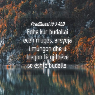 Picture 04 - Predikuesi 10:3 ALB - Edhe kur budallai ecën rrugës, arsyeja i mungon - Bible Verse Picture
