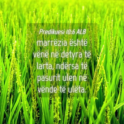 Picture 04 - Predikuesi 10:6 ALB - marrëzia është vënë në detyra të larta, - Bible Verse Picture