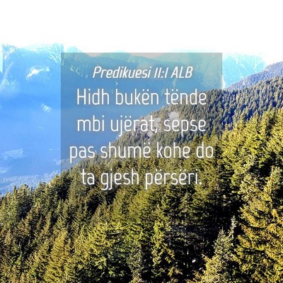 Picture 04 - Predikuesi 11:1 ALB - Hidh bukën tënde mbi ujërat, sepse pas shumë - Bible Verse Picture