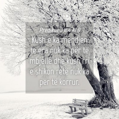Picture 04 - Predikuesi 11:4 ALB - Kush e ka mendjen te era nuk ka për të mbjellë - Bible Verse Picture