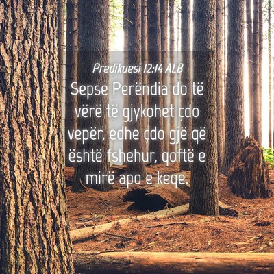 Picture 04 - Predikuesi 12:14 ALB - Sepse Perëndia do të vërë të gjykohet çdo - Bible Verse Picture